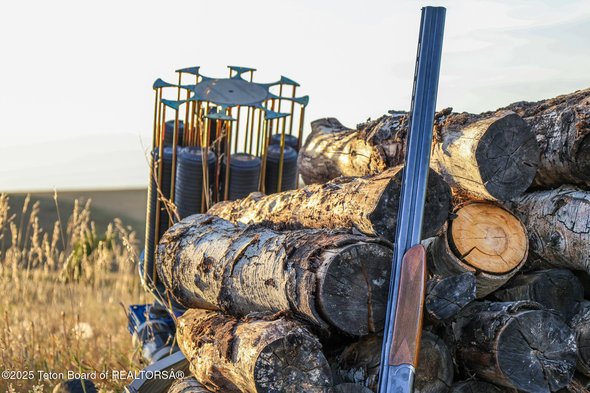 Long Hollow Road Newdale, ID 83436 - Photo 8 of 30 1M0A0616