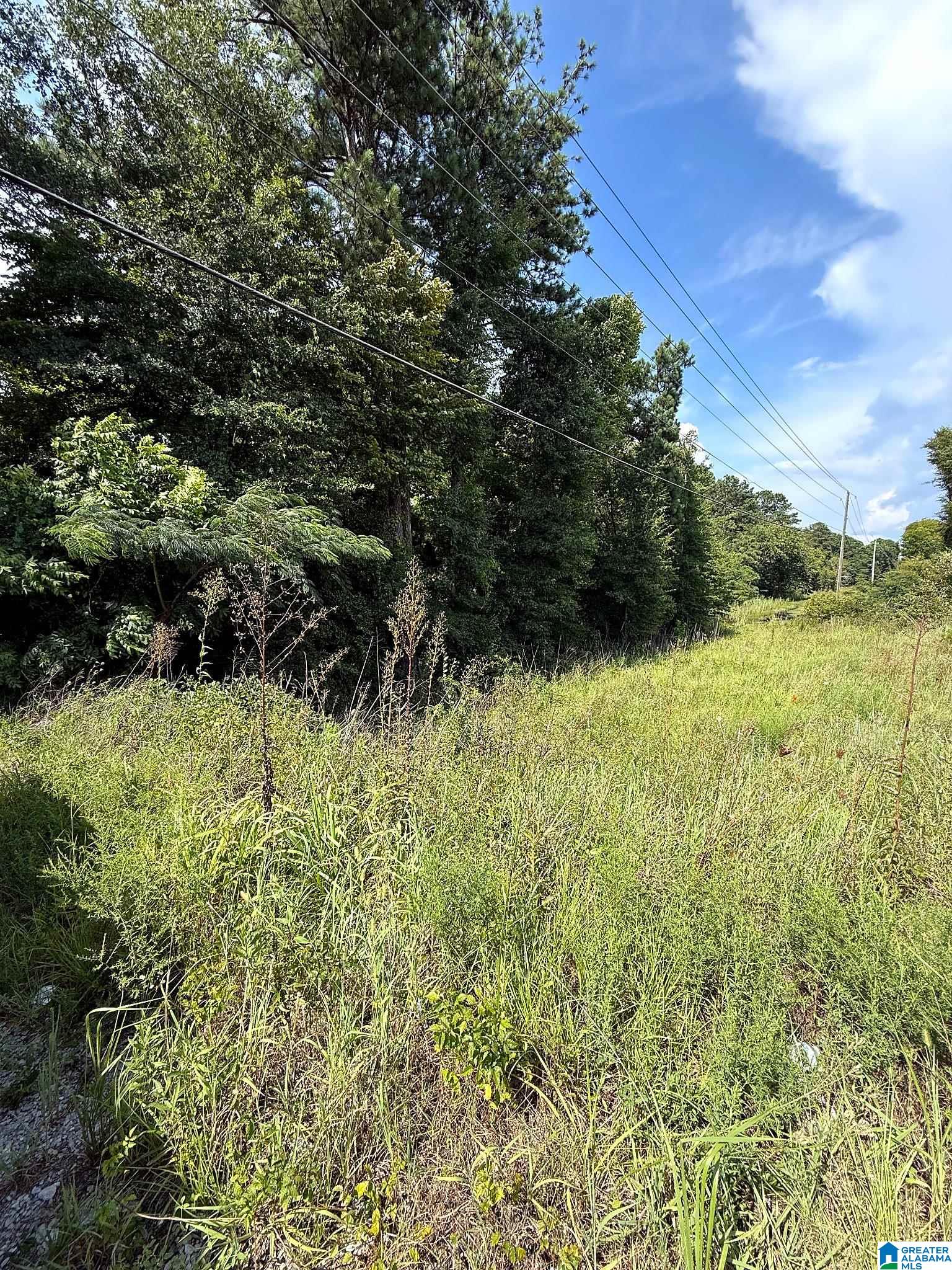0 Highway 78 Riverside, AL 35135 - Photo 4 of 5