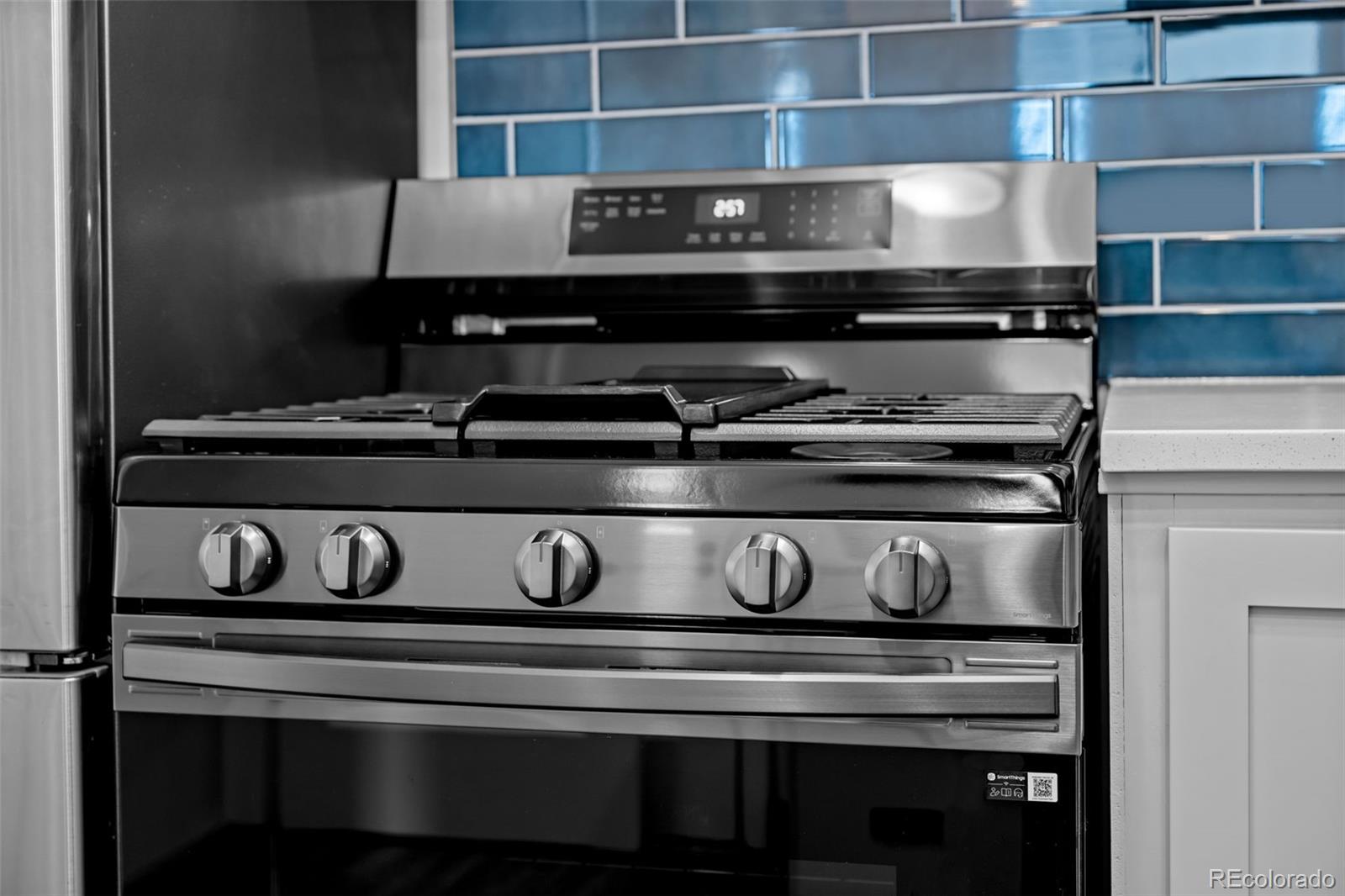 1585 Roslyn Street Denver, CO 80220 - Photo 20 of 45