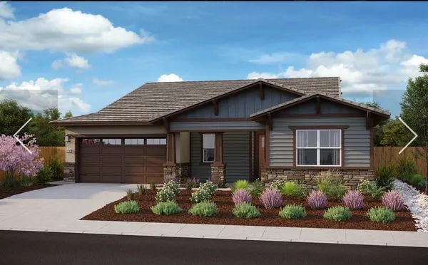 a house with lots of flowers in front of it