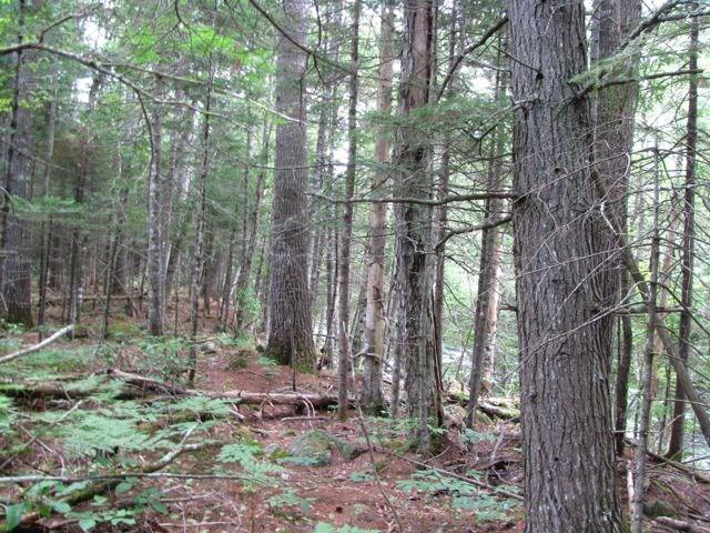 6 Weld Street Carthage, ME 04224 - Photo 19 of 33 Photo