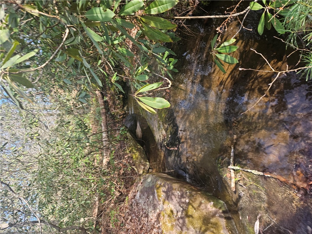 A tranquil stream flows through a lush, verdant landscape.