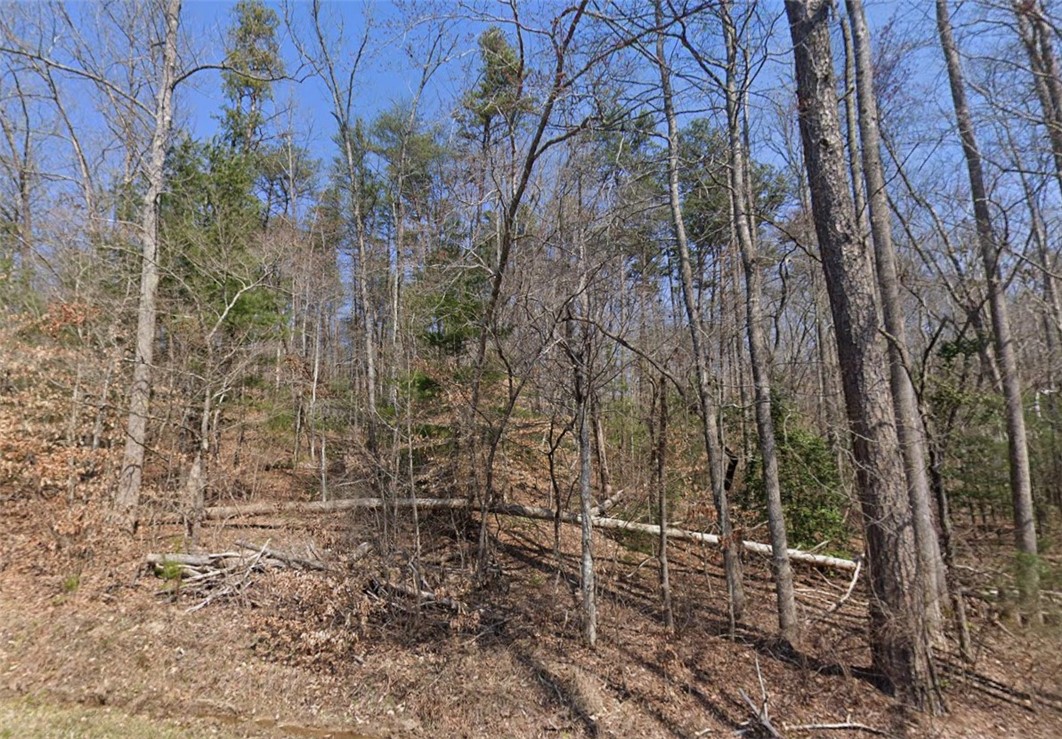 177 Cross Creek Road Salem, SC 29676 - Photo 3 of 7 This expansive wooded lot presents an ideal opportunity to create a private oasis amidst nature's tranquility.