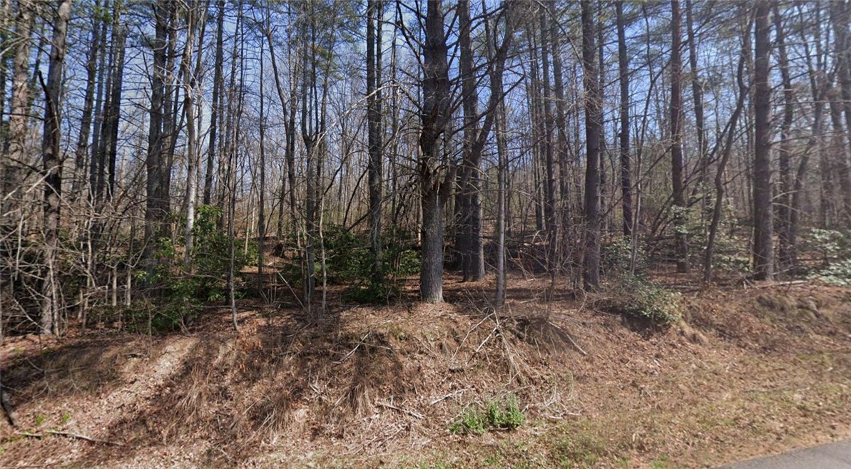 177 Cross Creek Road Salem, SC 29676 - Photo 5 of 7 This expansive wooded lot provides a serene setting, perfect for building your dream home amidst nature.
