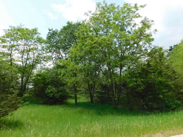 $33,500 | Lot 57 Eagle, Montello, WI 53949
