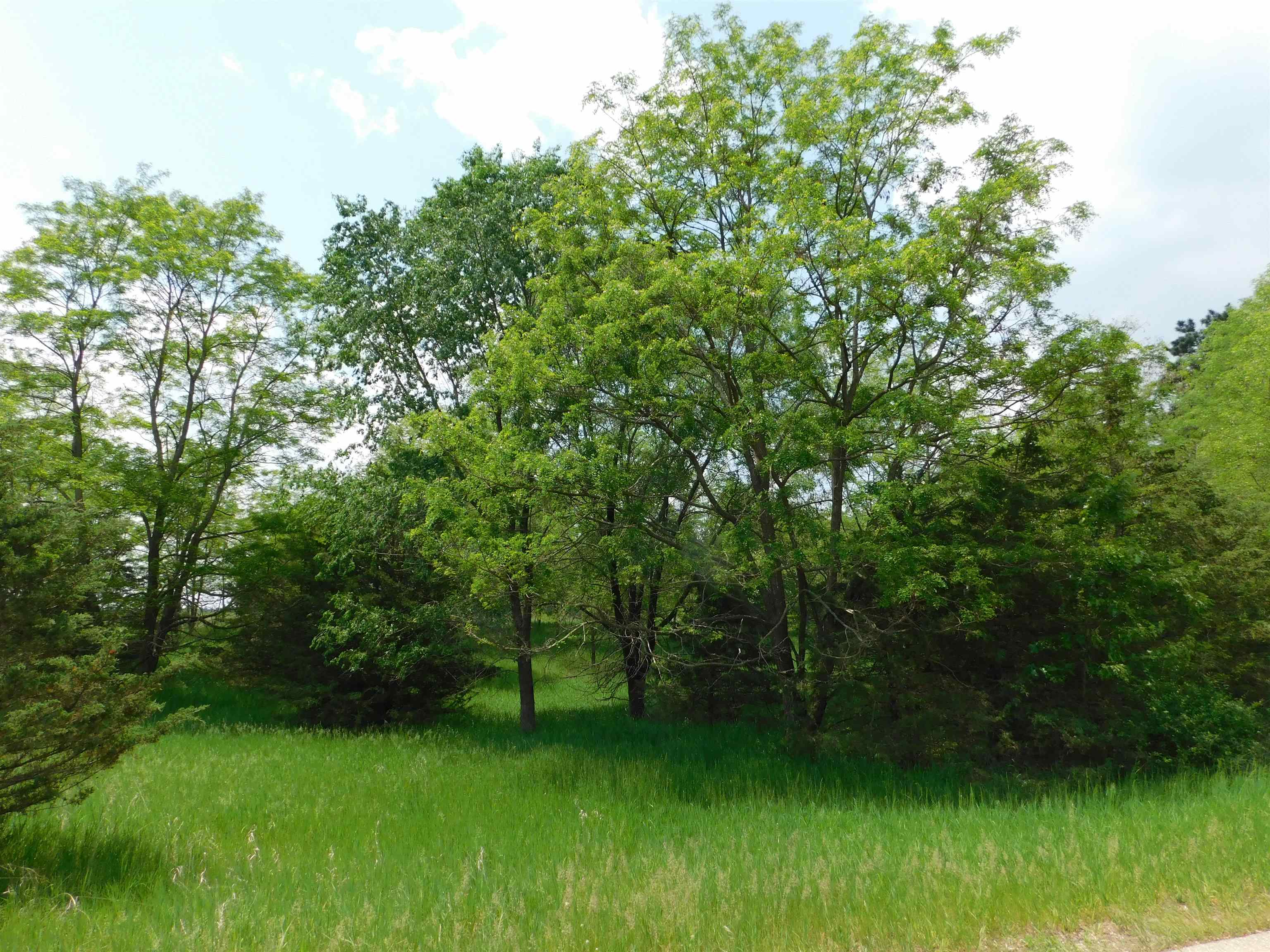 Lot 57 Eagle Montello, WI 53949 - Photo 3 of 9