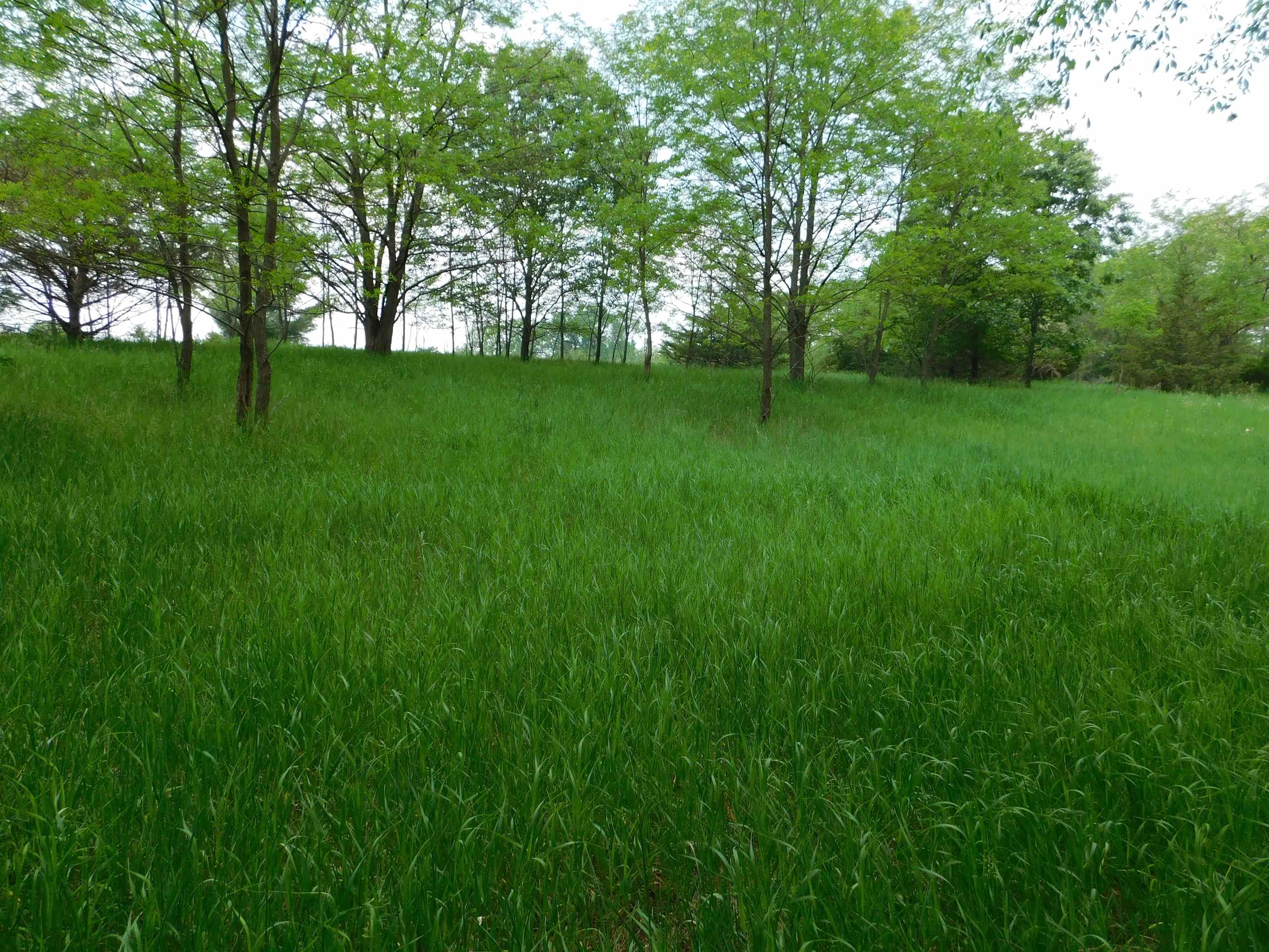 Lot 57 Eagle Montello, WI 53949 - Photo 4 of 9