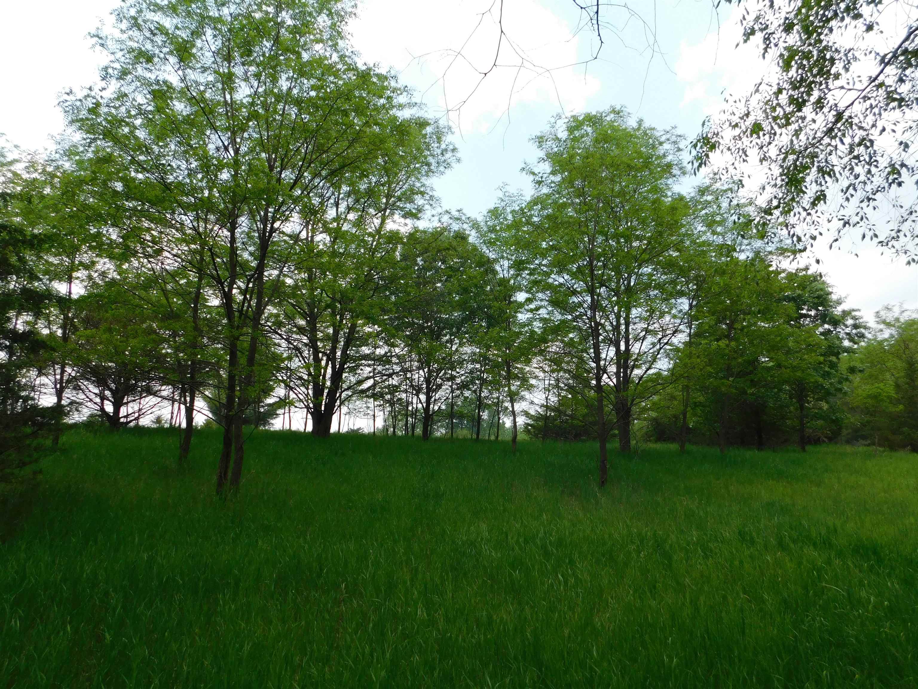 Lot 57 Eagle Montello, WI 53949 - Photo 5 of 9