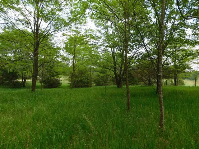 $33,500 | Lot 57 Eagle, Montello, WI 53949