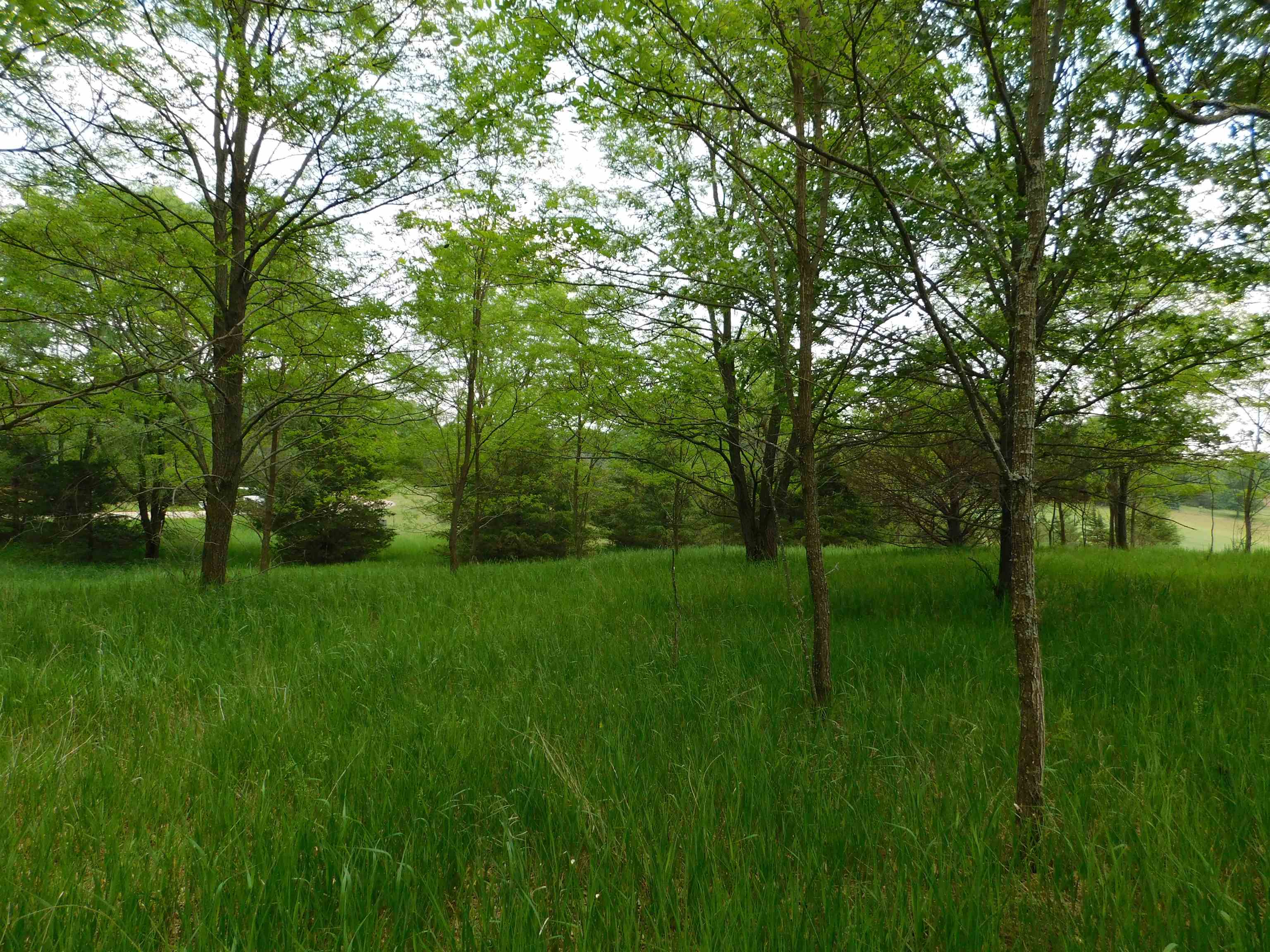 Lot 57 Eagle Montello, WI 53949 - Photo 6 of 9