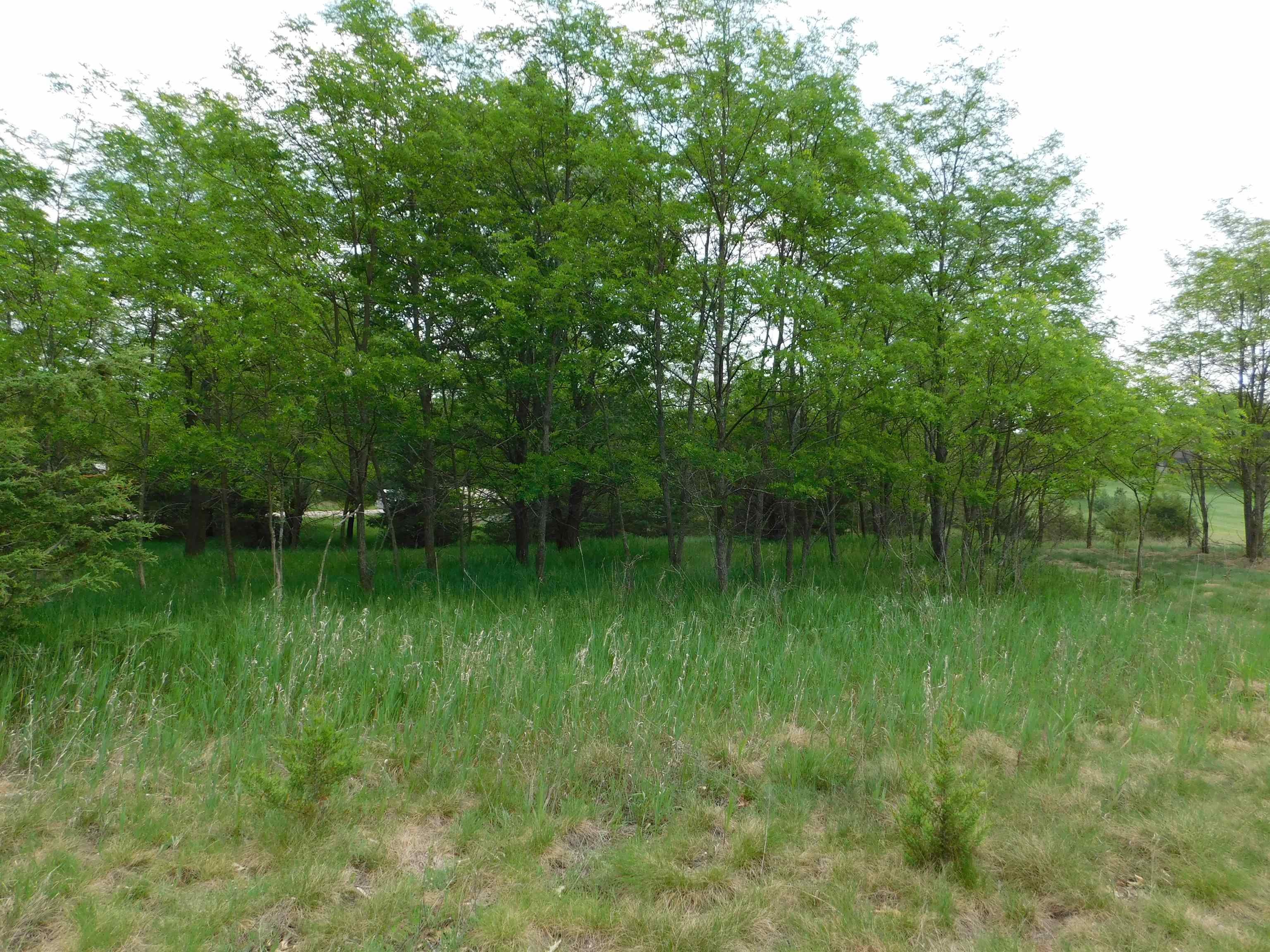 Lot 57 Eagle Montello, WI 53949 - Photo 7 of 9