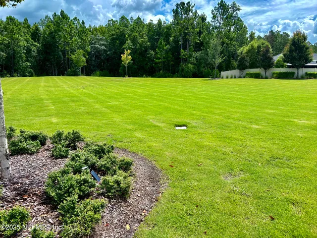 a view of a large yard with a large trees