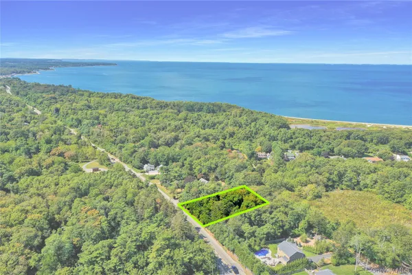 a view of a field with an ocean