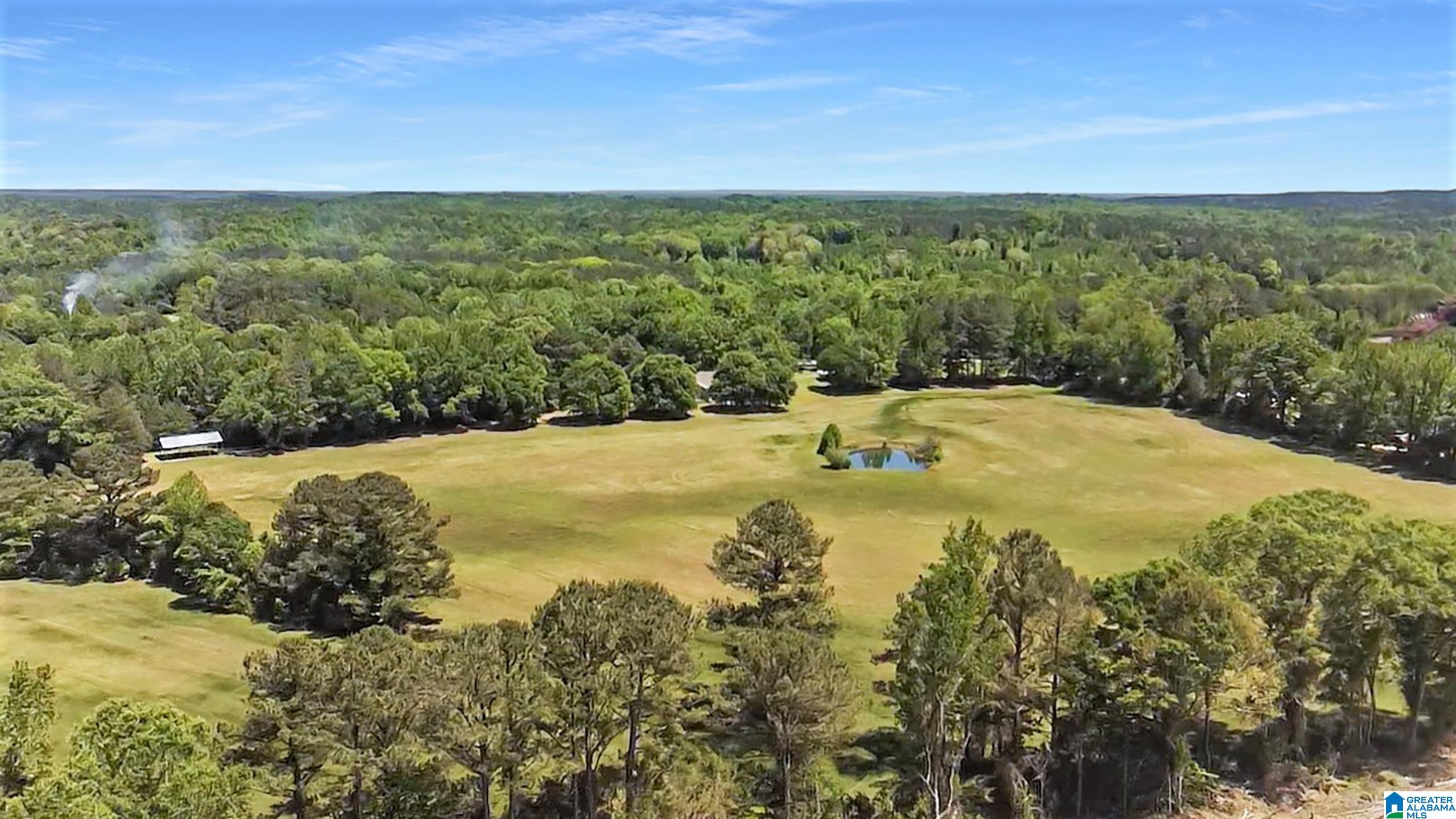 5133 Highway 36 Randolph Al Randolph, AL 36792 - Photo 31 of 36