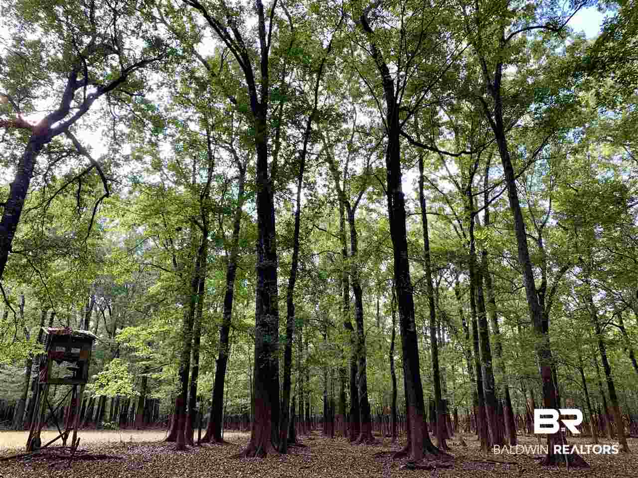 0 Holly Creek Road Stockton, AL 36579 - Photo 36 of 50