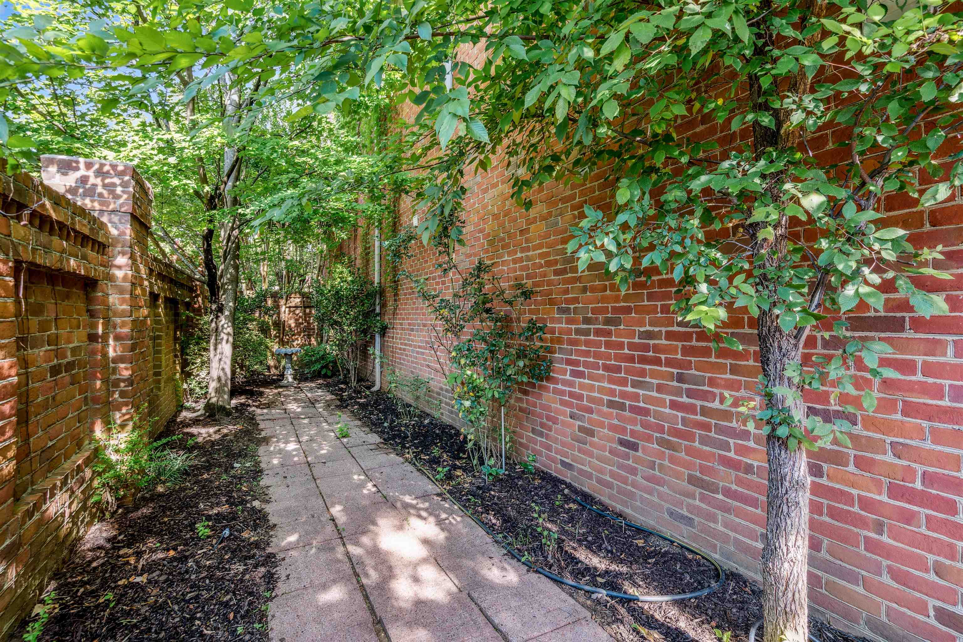 478 West Racquet Club Place Memphis, TN 38117 - Photo 38 of 39 a backyard of a house with lots of green space