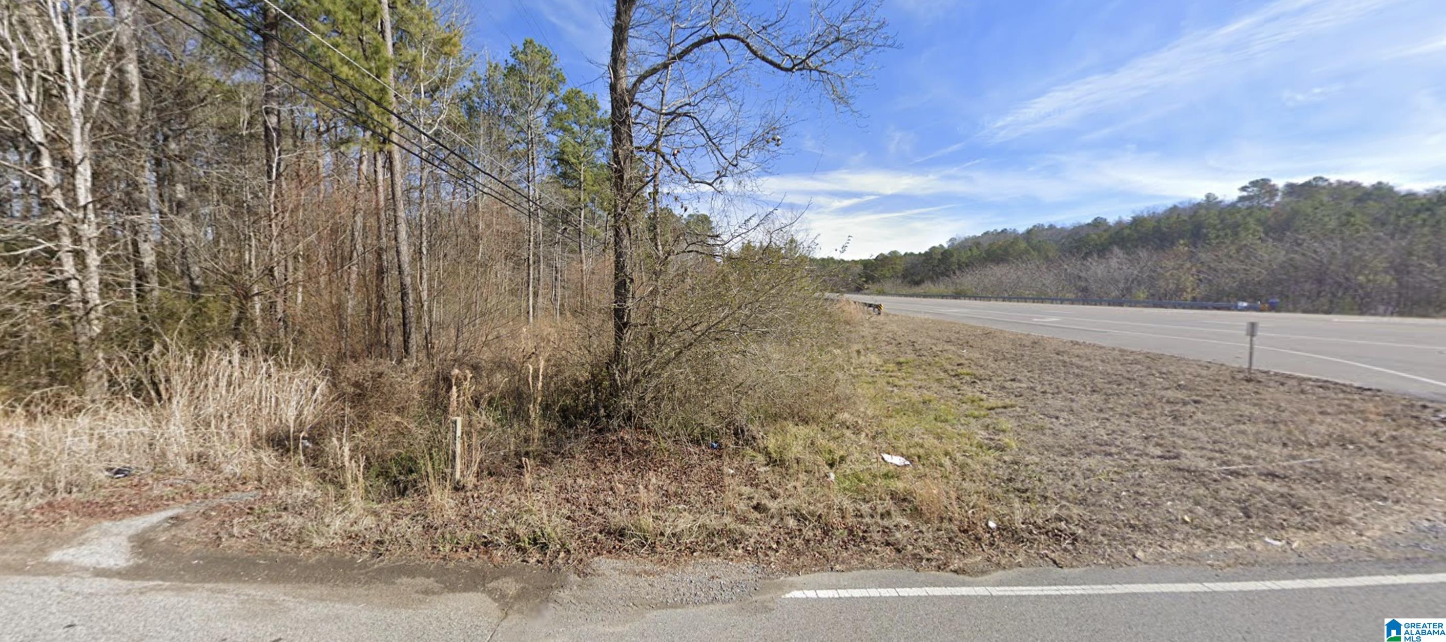 0 Highway 78 Jasper, AL 35503 - Photo 4 of 4