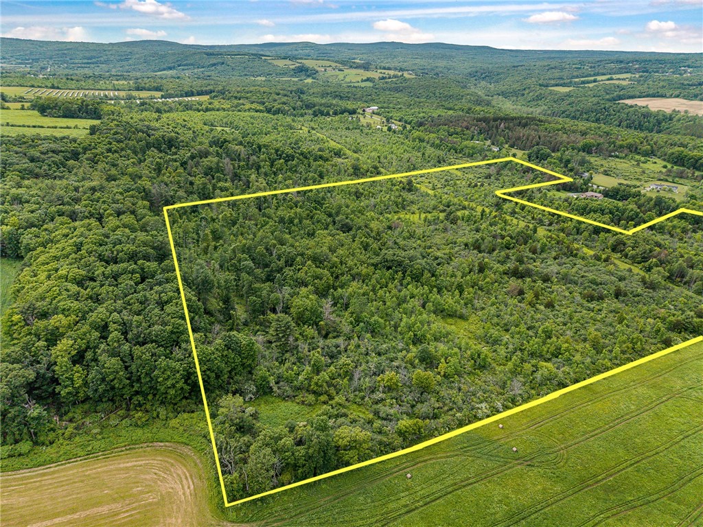 2868 Townsend Road Dix, NY 14891 - Photo 2 of 10