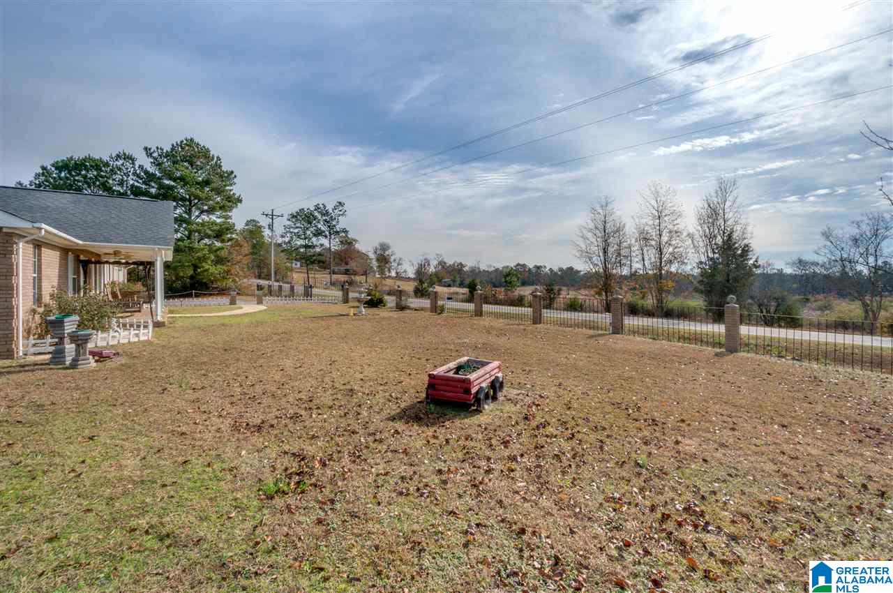 5313 County Road 24 Verbena, AL 36091 - Photo 4 of 49