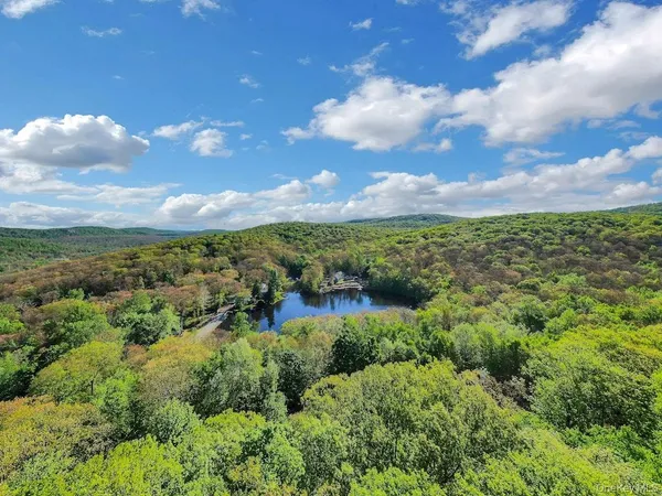 a view of a forest with trees
