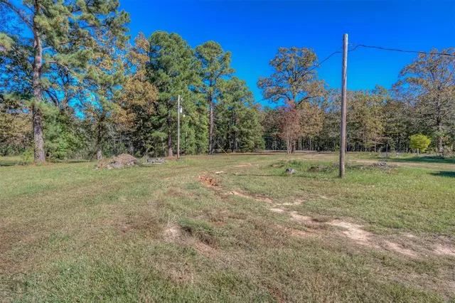 a view of a field with a tree
