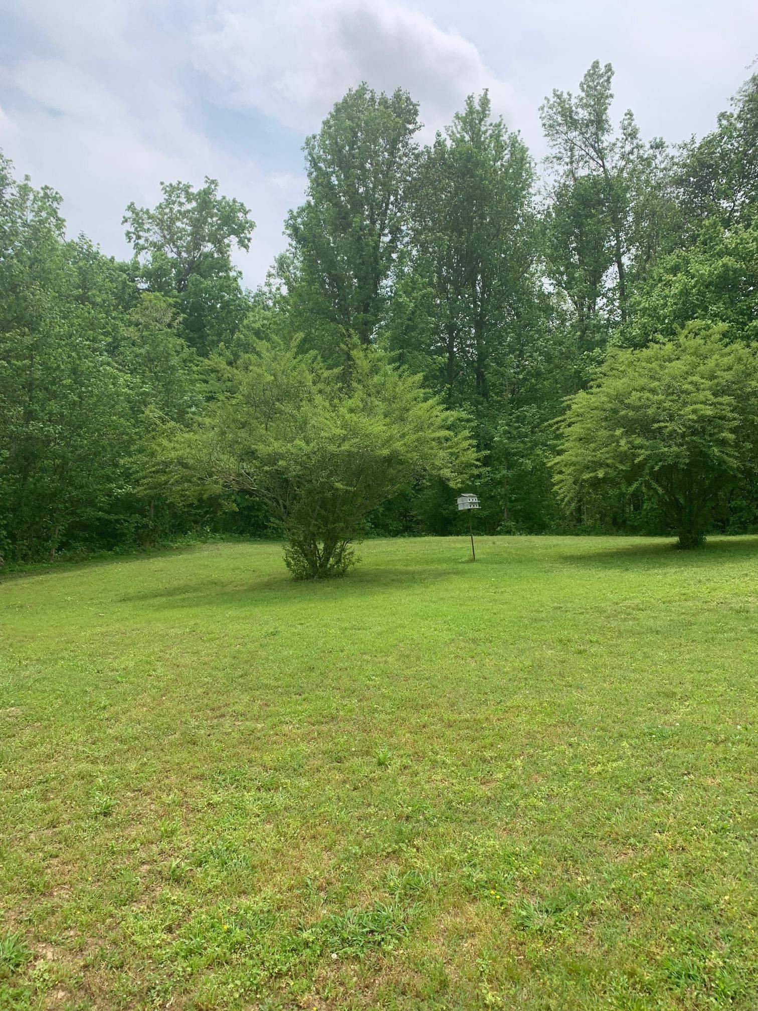 95 Betty's Cove Ripley, TN 38063 - Photo 16 of 25 Gallery Image 16