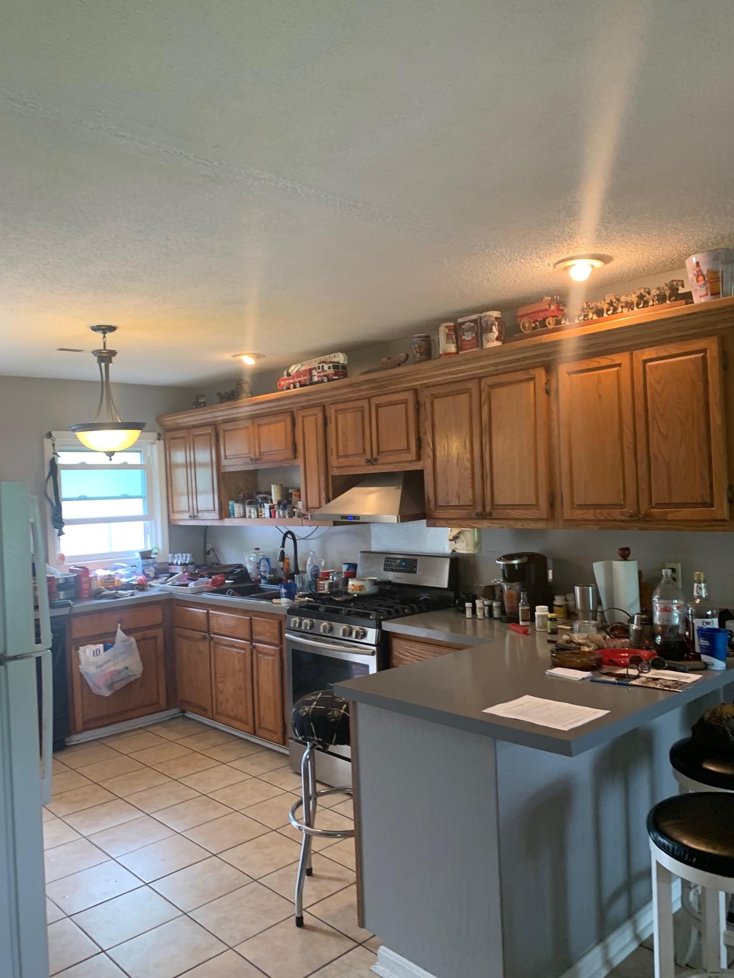 95 Betty's Cove Ripley, TN 38063 - Photo 4 of 25 Gallery Image 4