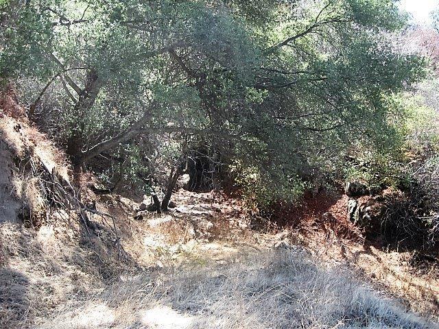 0 Oak Grove Drive Three Rivers, CA 93271 - Photo 5 of 6 Additional Photo