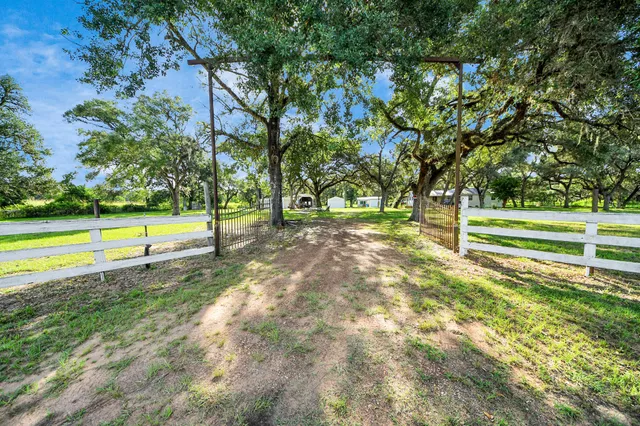 a view of a park with large trees