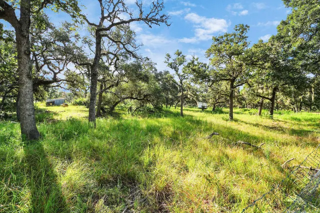 a view of yard with green space