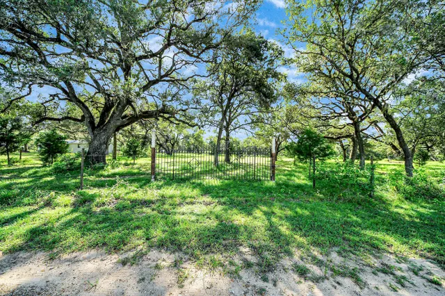 a view of yard with green space