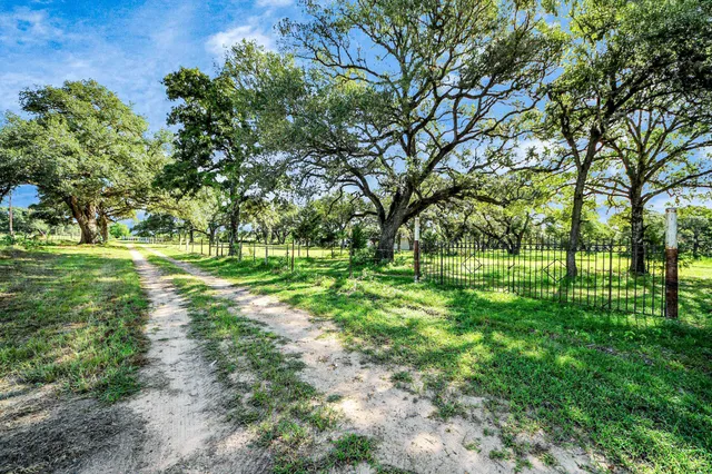 a view of a park with large trees