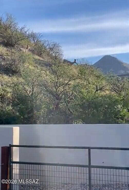 1355 Alma Court Rio Rico, AZ 85648 - Photo 24 of 24 Backyard-Wildlife