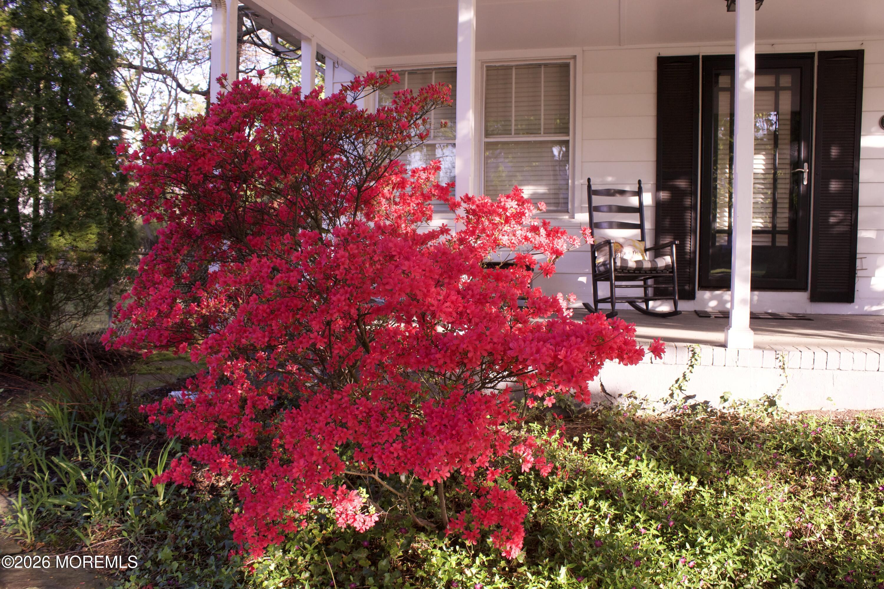 106 Rumson Road Little Silver, NJ 07739 - Photo 59 of 59 Front Yard