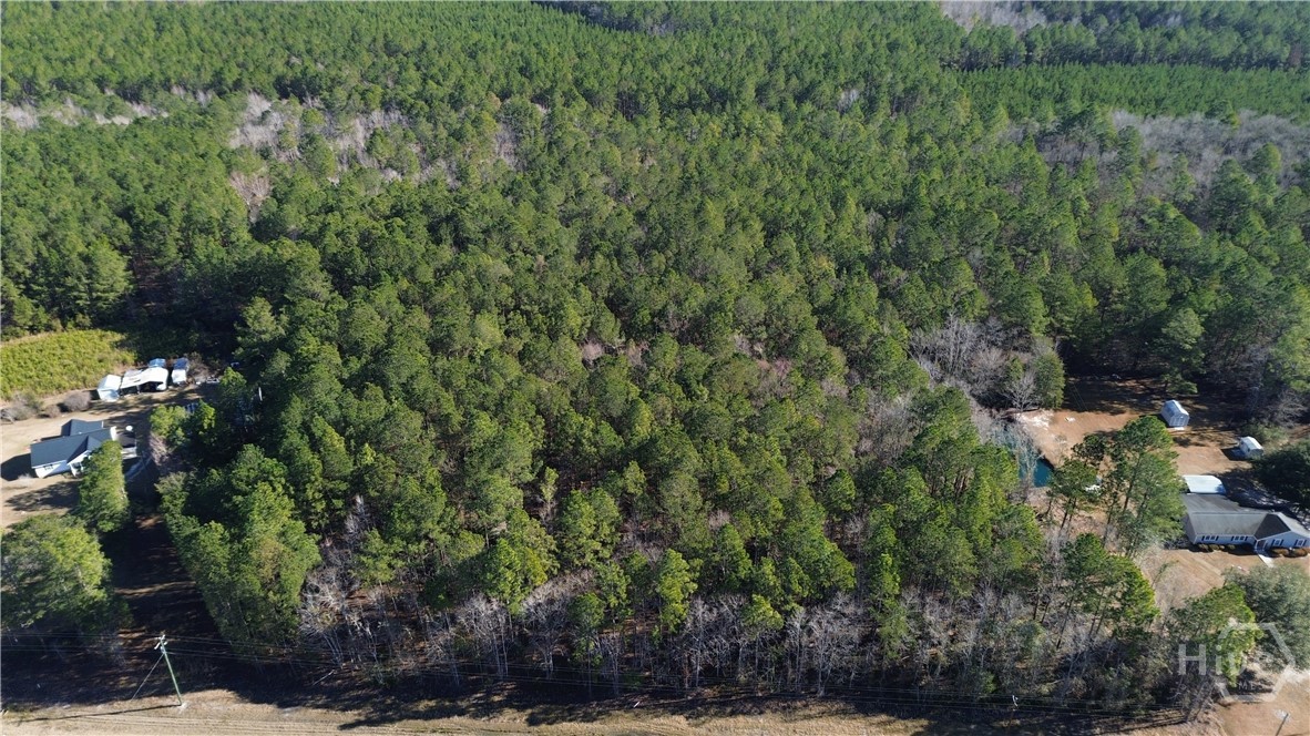 0 Highway 21 North Springfield, GA 31329 - Photo 2 of 6