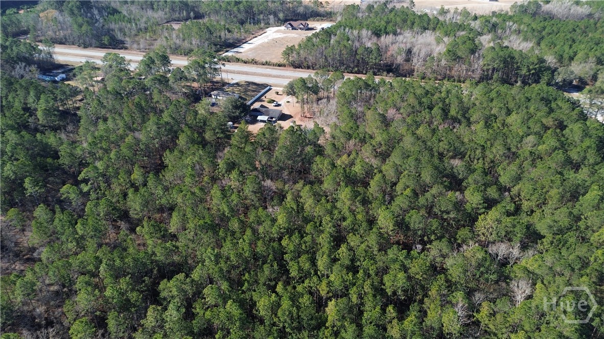0 Highway 21 North Springfield, GA 31329 - Photo 3 of 6
