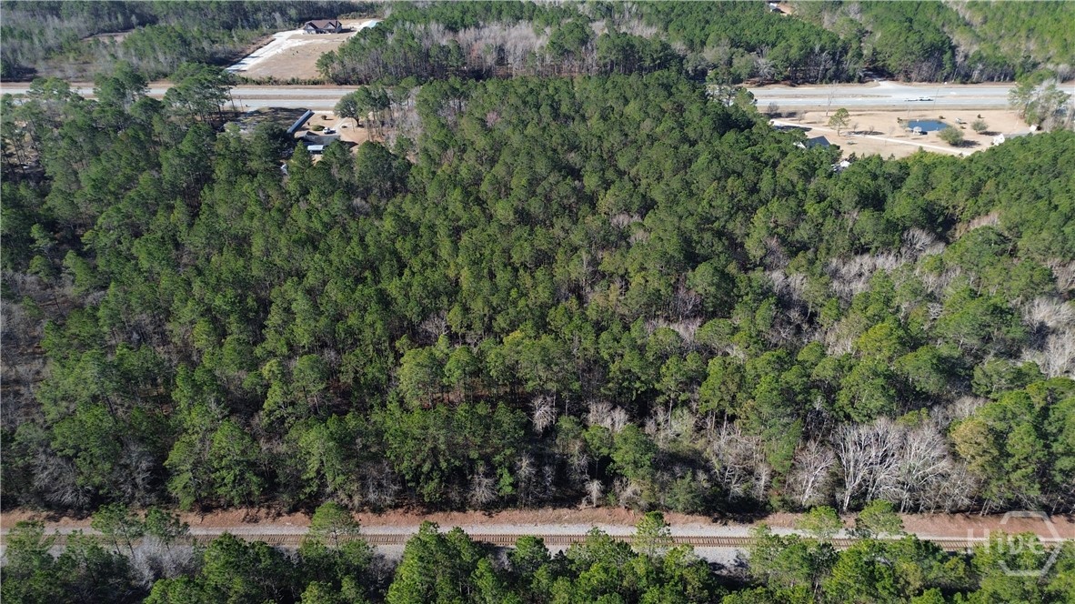 0 Highway 21 North Springfield, GA 31329 - Photo 5 of 6