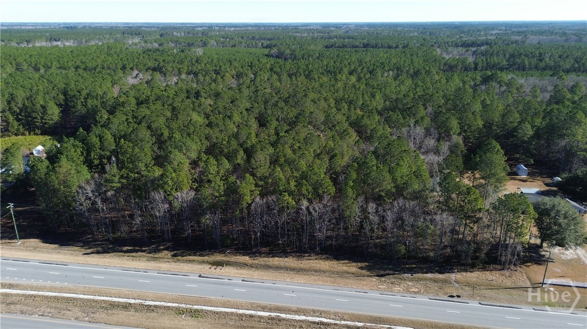 0 Highway 21 North Springfield, GA 31329 - Photo 6 of 6