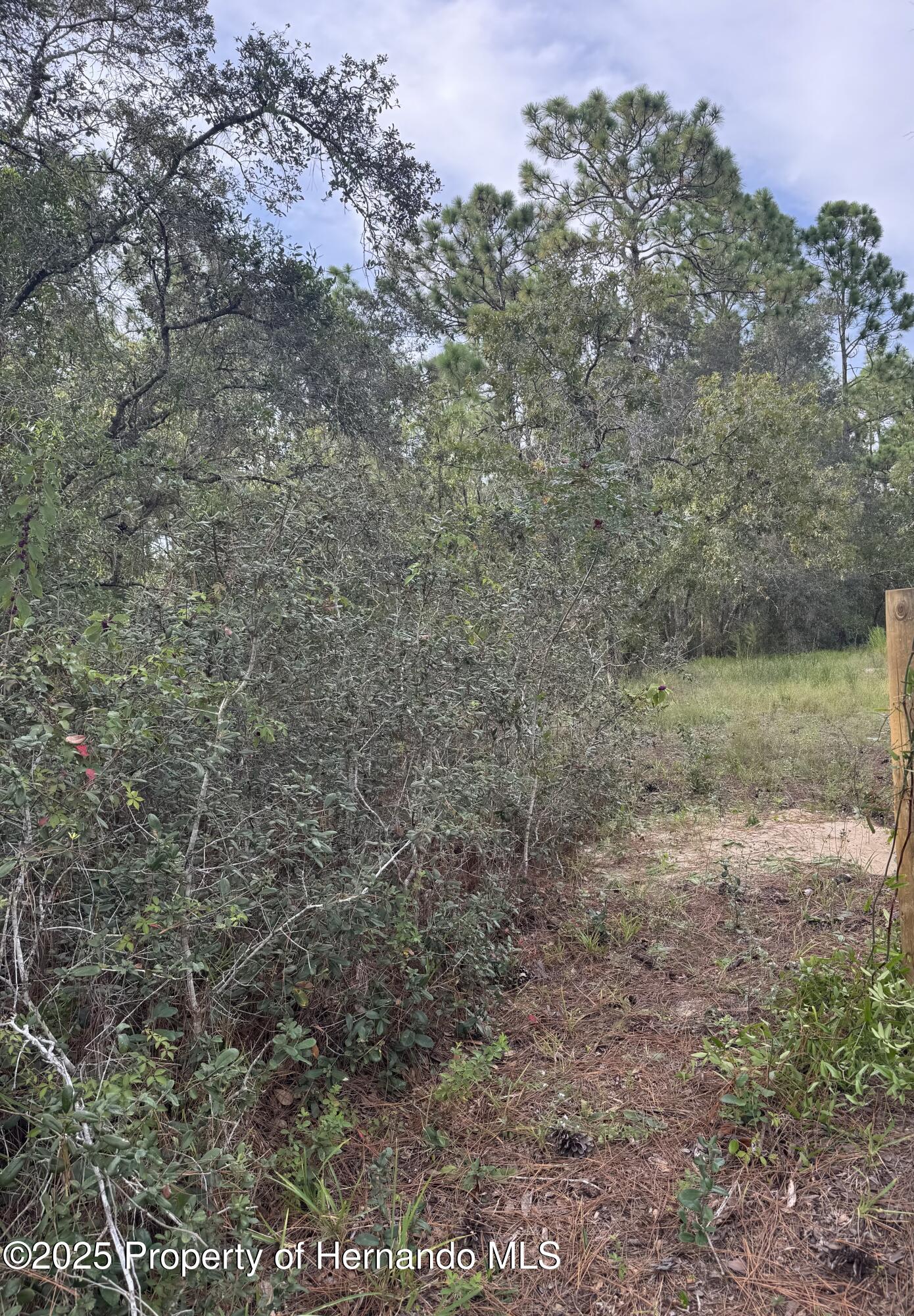 . Scooby Road Brooksville, FL 34604 - Photo 1 of 7
