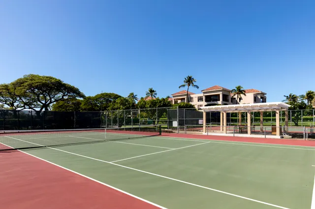 a view of a tennis ground with large trees