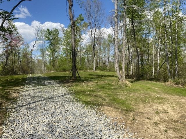 6000 Greenbriar Road Breeding, KY 42715 - Photo 3 of 29 Gallery Image 3