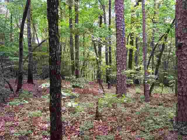 35 Curts Way Cleveland, SC 29635 - Photo 6 of 12