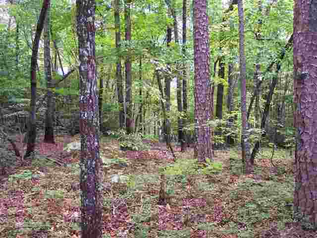 35 Curts Way Cleveland, SC 29635 - Photo 7 of 12