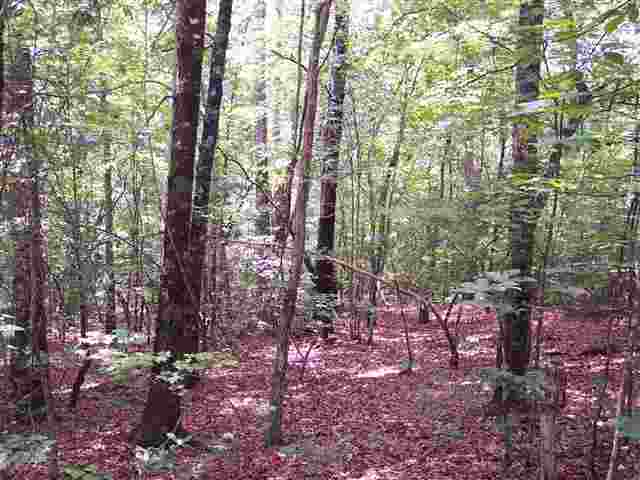 35 Curts Way Cleveland, SC 29635 - Photo 8 of 12
