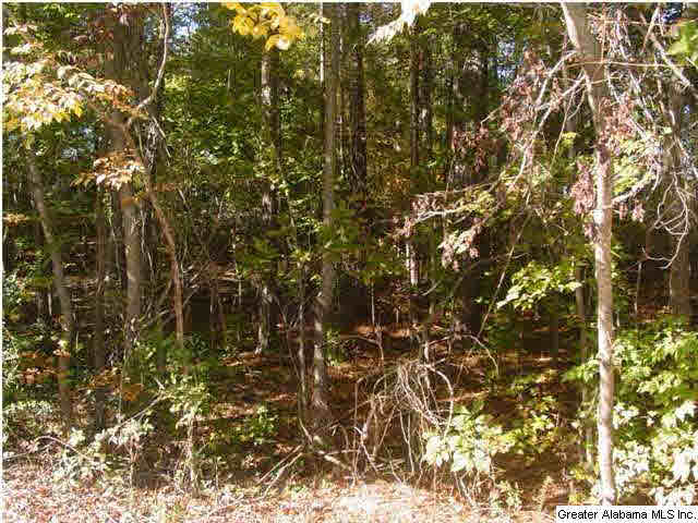 Old Choccolocco Road, Unit 73 Anniston, AL 36207 - Photo 26 of 30