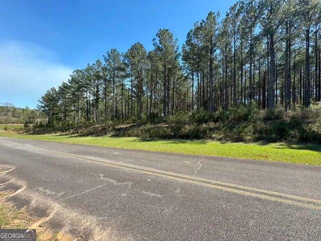 $30,000 | Tbd Lot 98 Tbd, Bainbridge, GA 39819