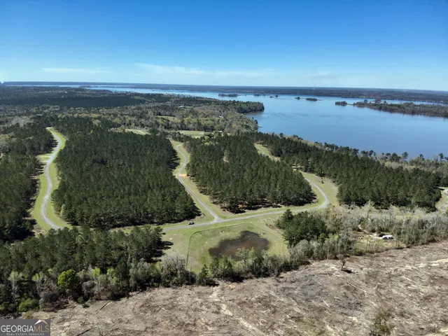 $30,000 | Tbd Lot 98 Tbd, Bainbridge, GA 39819