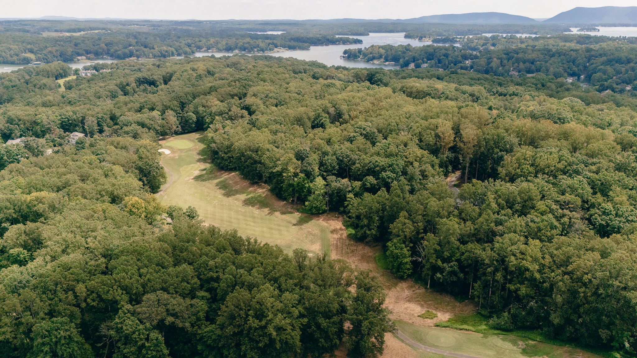 845 Gangplank Road, Unit 203 Moneta, VA 24121 - Photo 44 of 46 an aerial view of forest