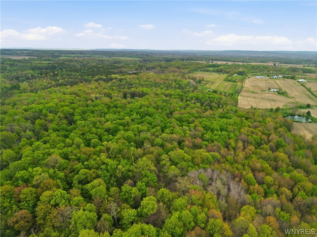 0 Genesee Road Lawtons, NY 14091 - Photo 9 of 34