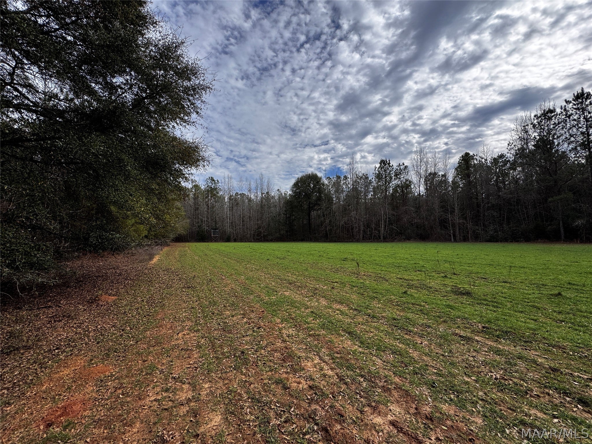 0 County Road Monroeville, AL 36460 - Photo 24 of 44 Gallery Image 24